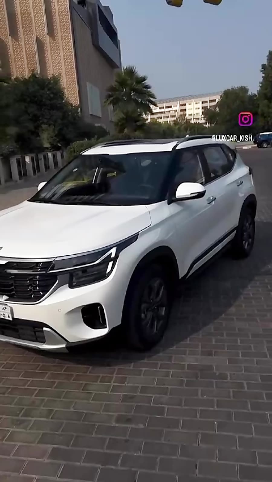 اجاره کیا سلتوس در کیش